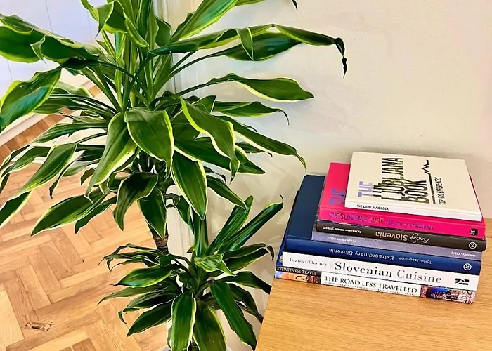 Riverside Apartament *